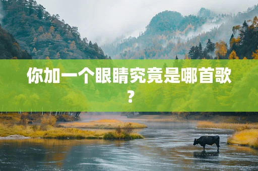 你加一个眼睛究竟是哪首歌？