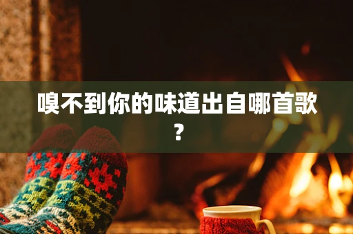 嗅不到你的味道出自哪首歌？