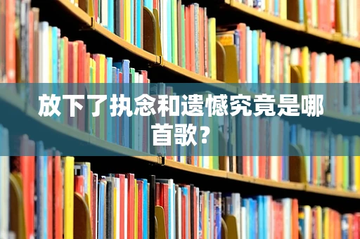 放下了执念和遗憾究竟是哪首歌？