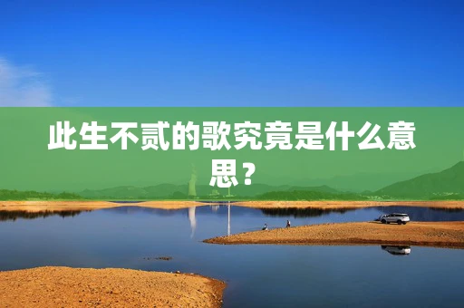 此生不贰的歌究竟是什么意思？