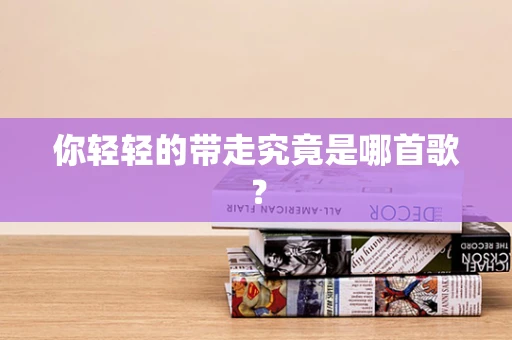你轻轻的带走究竟是哪首歌？
