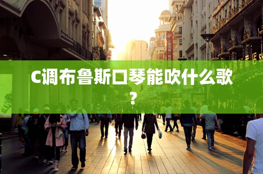 C调布鲁斯口琴能吹什么歌？