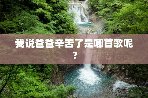 我说爸爸辛苦了是哪首歌呢？