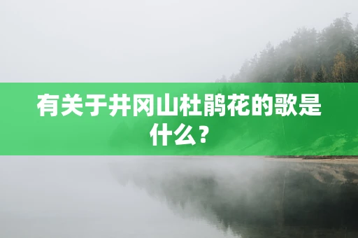 有关于井冈山杜鹃花的歌是什么？