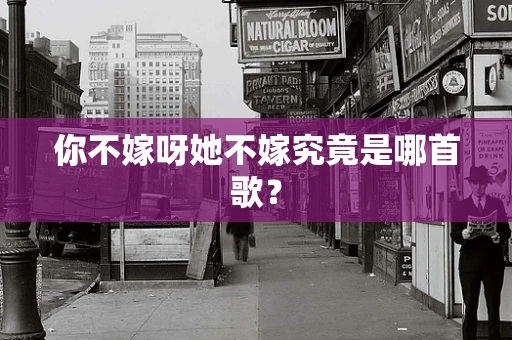 你不嫁呀她不嫁究竟是哪首歌？