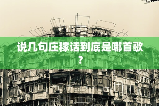 说几句庄稼话到底是哪首歌？