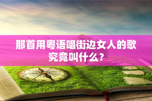 那首用粤语唱街边女人的歌究竟叫什么？