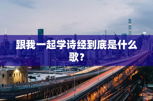 跟我一起学诗经到底是什么歌？