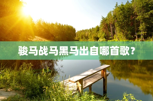 骏马战马黑马出自哪首歌？