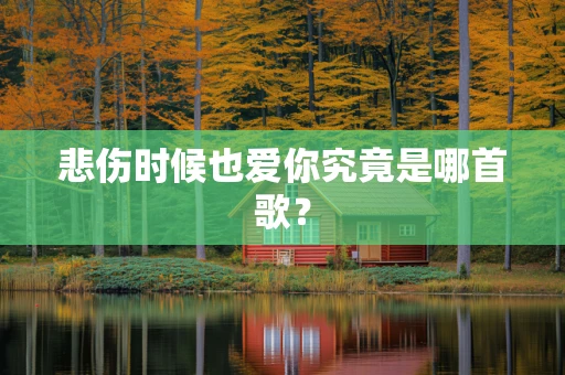 悲伤时候也爱你究竟是哪首歌？