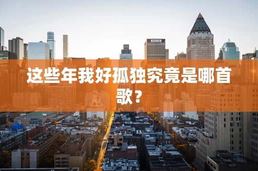 这些年我好孤独究竟是哪首歌？