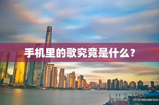 手机里的歌究竟是什么？