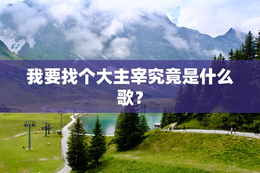 我要找个大主宰究竟是什么歌？