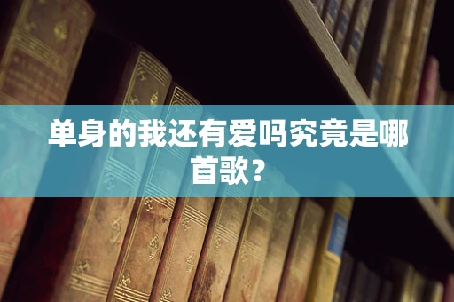 单身的我还有爱吗究竟是哪首歌？