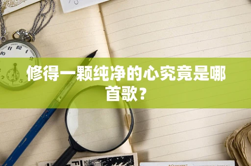 修得一颗纯净的心究竟是哪首歌？