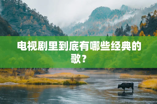电视剧里到底有哪些经典的歌？