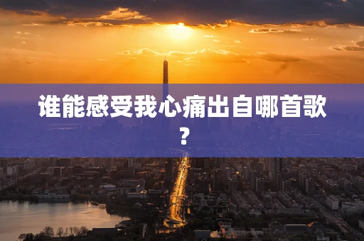 谁能感受我心痛出自哪首歌？