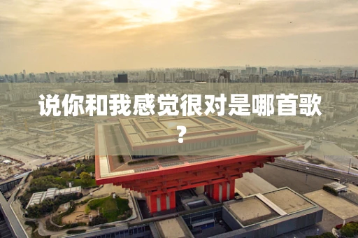 说你和我感觉很对是哪首歌？