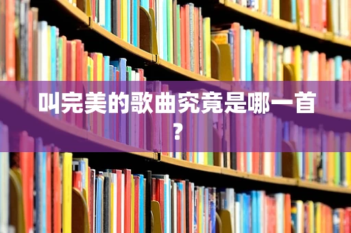 叫完美的歌曲究竟是哪一首？