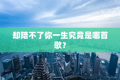 却陪不了你一生究竟是哪首歌？