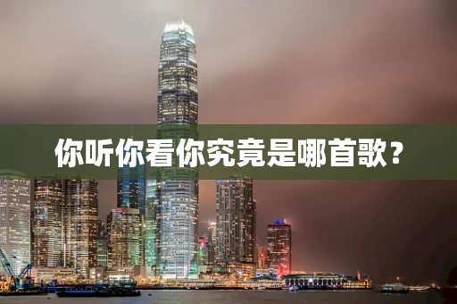 你听你看你究竟是哪首歌？