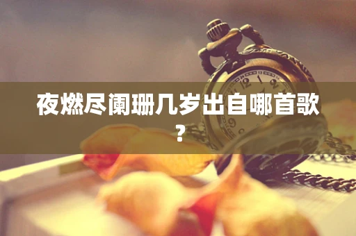 夜燃尽阑珊几岁出自哪首歌？