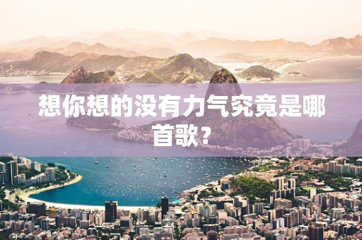 想你想的没有力气究竟是哪首歌？