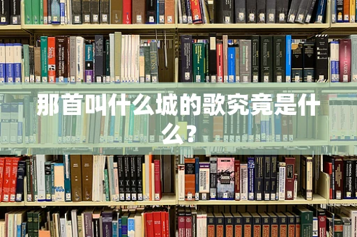 那首叫什么城的歌究竟是什么？