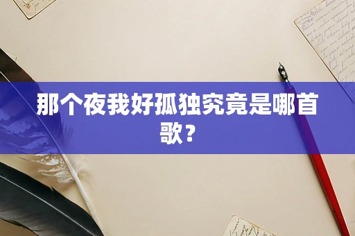 那个夜我好孤独究竟是哪首歌？
