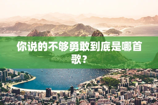 你说的不够勇敢到底是哪首歌？