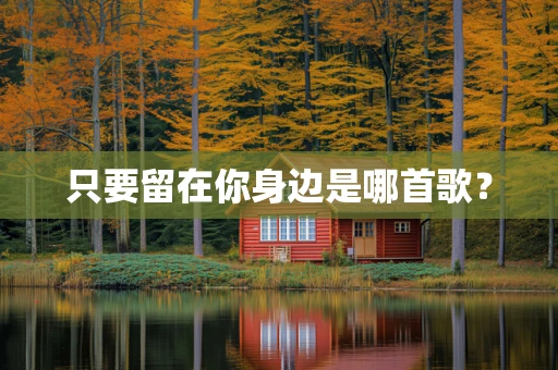 只要留在你身边是哪首歌？