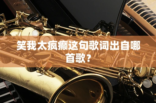 笑我太疯癫这句歌词出自哪首歌？