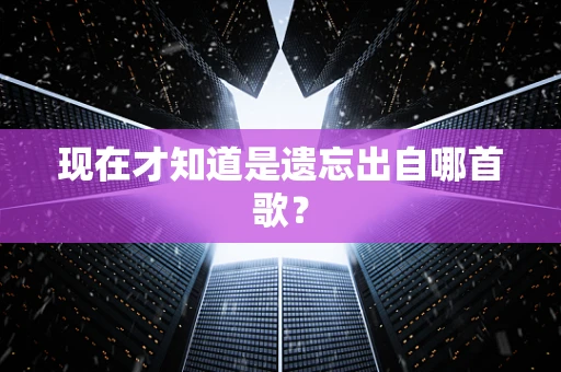 现在才知道是遗忘出自哪首歌？