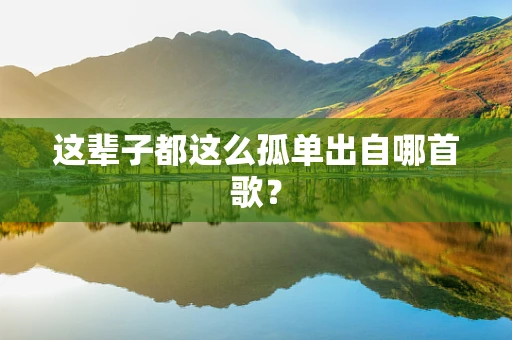 这辈子都这么孤单出自哪首歌？
