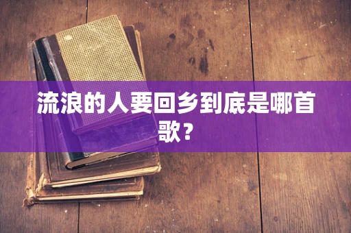 流浪的人要回乡到底是哪首歌？