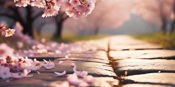 周渝民最有名的歌究竟是哪一首？