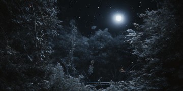 夜已成墨心事向谁说出自哪首歌？