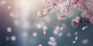分开之后才爱你究竟是哪首歌？
