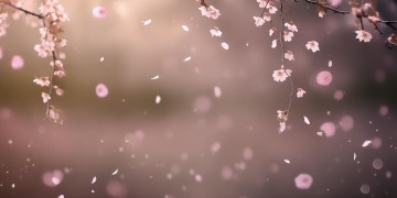 给我爱你的照片这句歌词出自哪首歌？