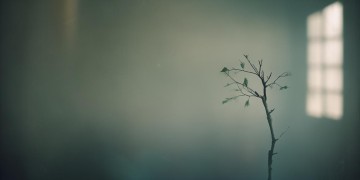 你摇摇欲坠的孤独出自哪首歌？