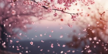 什么样的歌能让人既伤心又快乐？