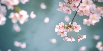我陪你慢慢的成长究竟是哪首歌？