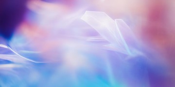 那我就不再打扰你出自哪首歌？