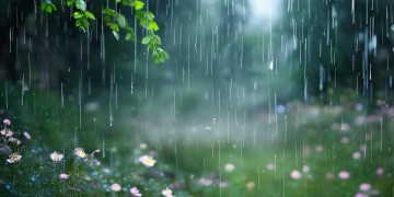 温柔的细雨出自哪首歌？