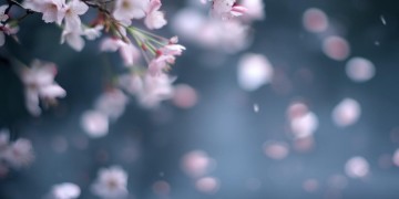 余生有你真好啊究竟是哪首歌？