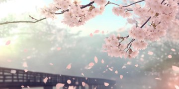 愿你能够回到从前出自哪首歌？