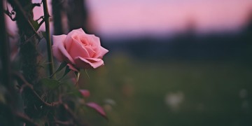 舍不得放手又不能拥有究竟是哪首歌？