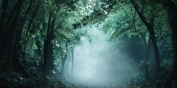 夜色朦胧出自哪首歌？