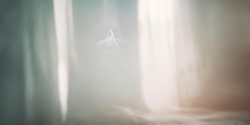 忧愁会使人白头吗究竟出自哪首歌？