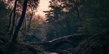 慢慢的变得无情了是哪首歌？